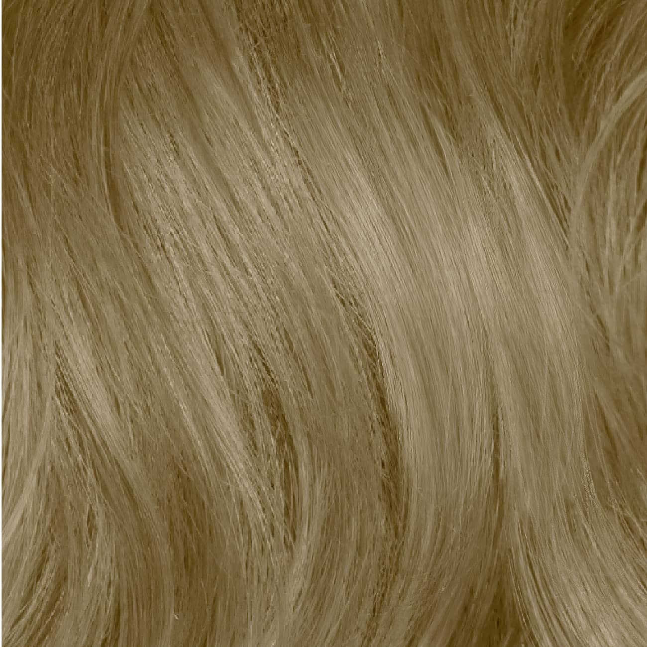 Proyou Color Maker 8.0 - Sagema