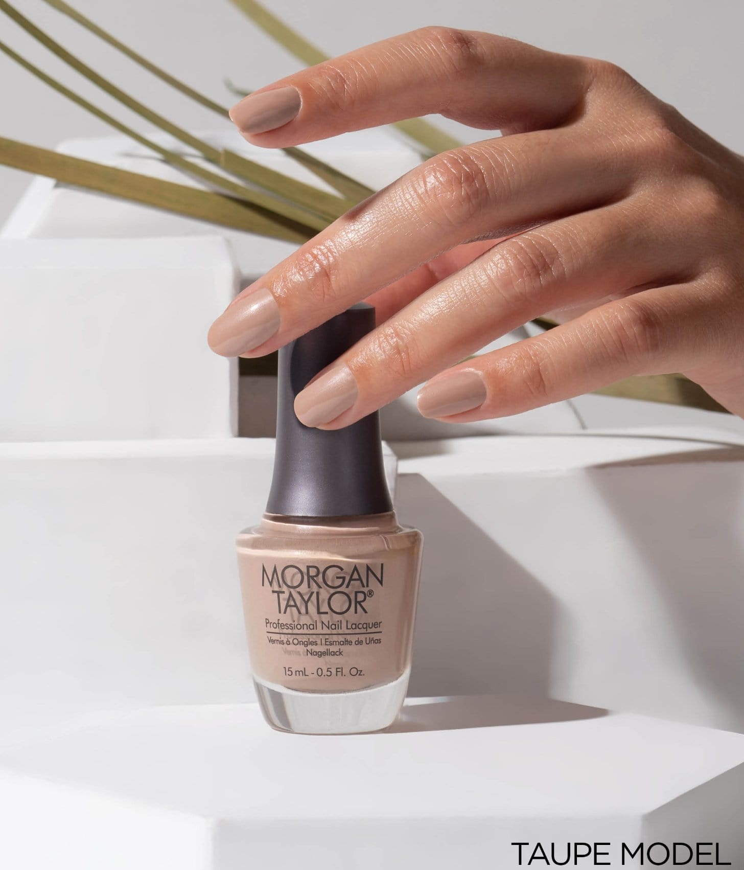 TAUPE MODEL - Sagema